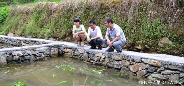 农民养草鱼却不用鱼塘，80块1斤还供不应求