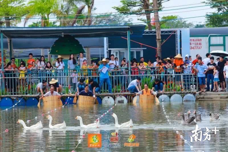 咸水歌、农趣运动会、盆景展…民众镇水乡文化旅游节本周六开幕