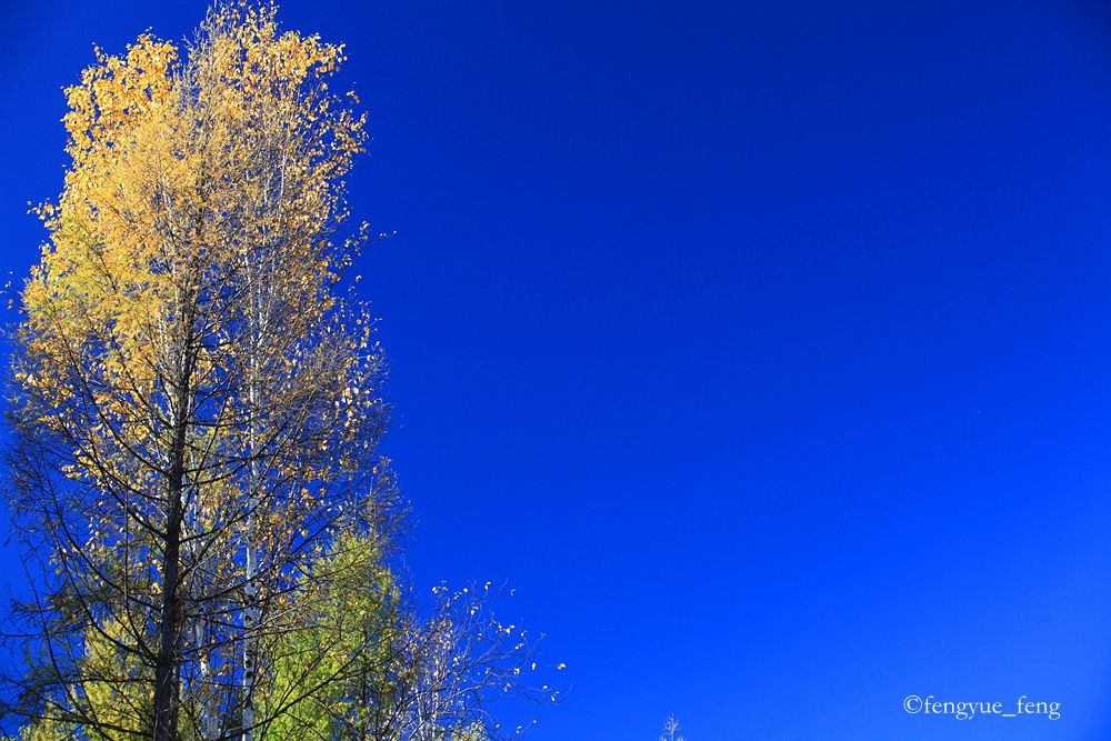 大兴安岭特大火灾澳洲火灾