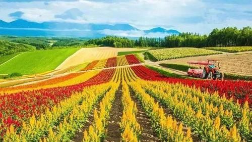 定了！广州地铁3号线可直达东莞