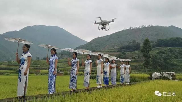 易门绿汁镇首届稻田开鱼节 带你找回儿时快乐！