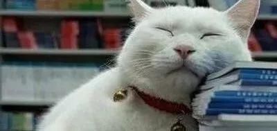 粗腿女孩真人测评｜世界上真的存在显腿瘦的牛仔裤吗？