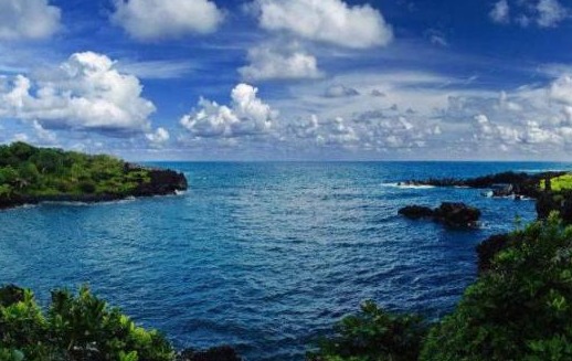 世界上最“悲催”的岛屿，引进3只羊当乐趣，最后岛差点被羊吃光