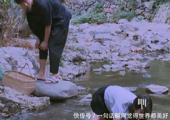 感觉郑爽也不爱张恒