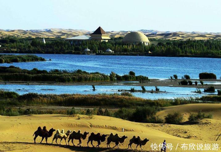 中国一即将“消失”的沙漠，却迎来一些“捣乱者”，治沙人：心痛