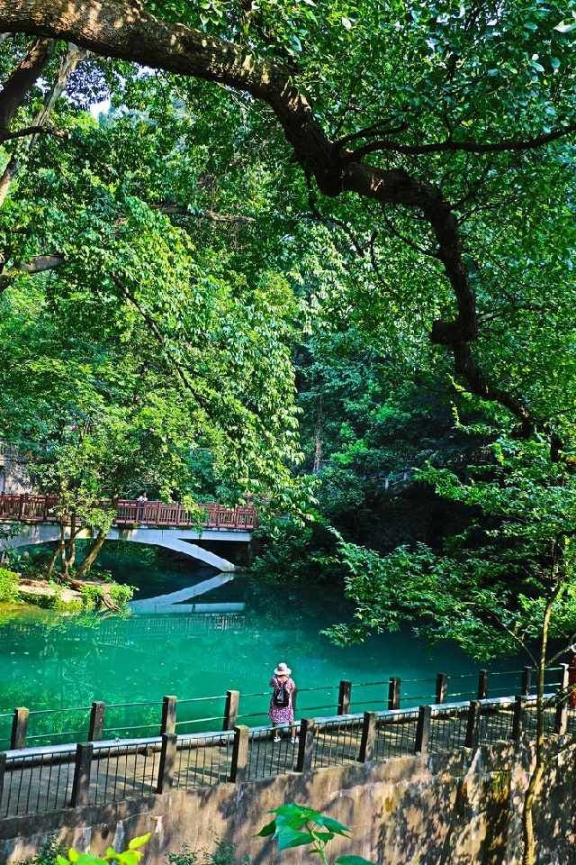 拍美照嬉水纳凉，九溪这两天特别好看，快去打卡