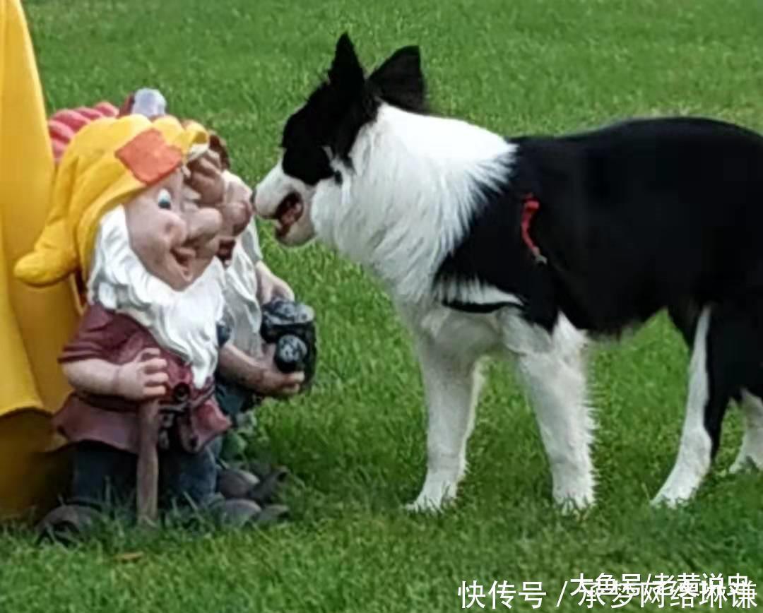 被玩坏了的成语呆若木鸡其实是个褒义词