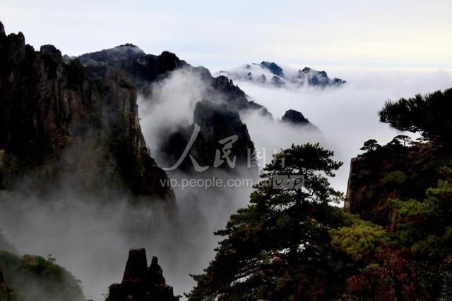 安徽黄山：云海弥漫如仙境