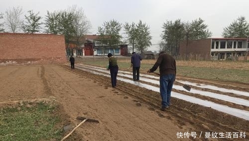  提前：农村土地改革，农民将会面临4个变化，大家要提前有打算！