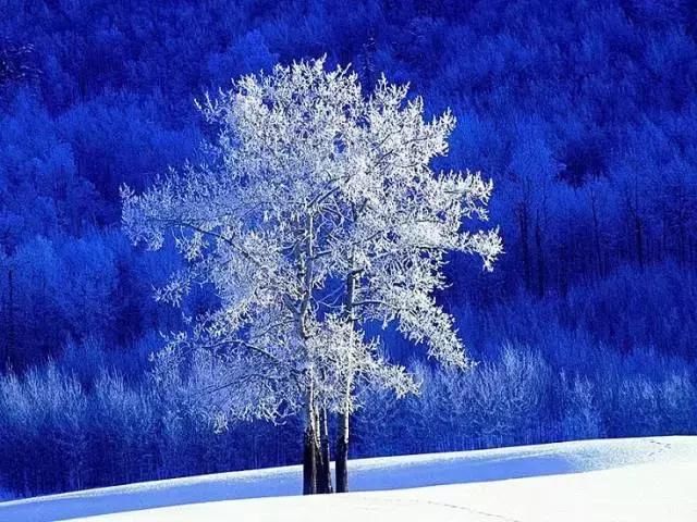 中华美景，太震撼了，向伟大的摄影师致敬！