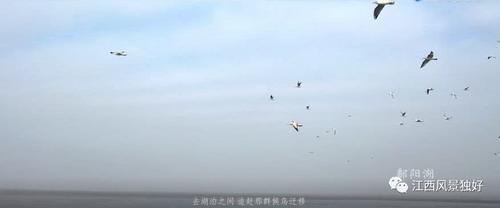 航拍江西：你从未见过这么美的江西！