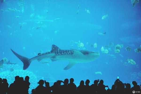 我的2018追寻四季,走走停停