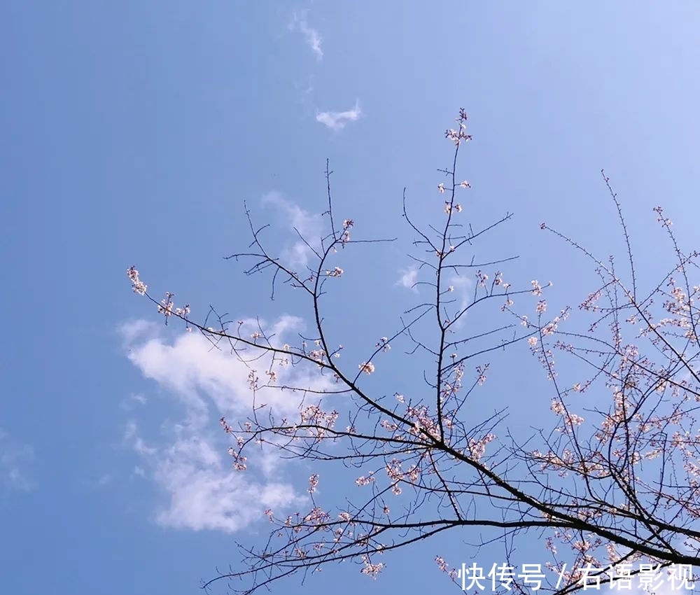 「巨显」扔掉你的阔腿裤!这3条裤子巨显腿长!