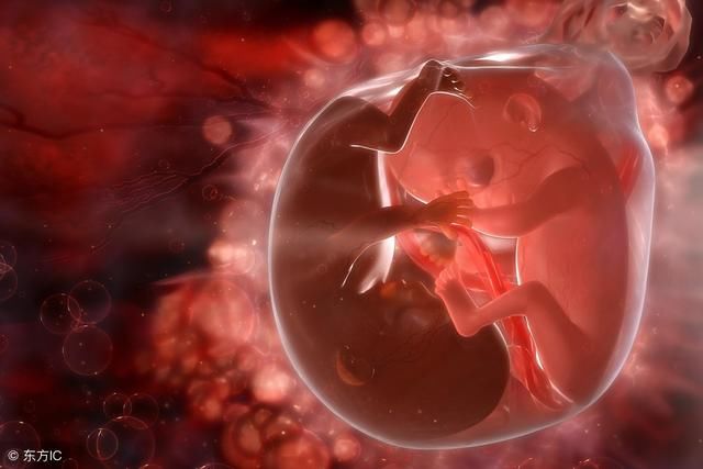 生殖医学专家揭秘胎儿性别是什么时候形成的?