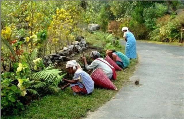 印度就是“脏乱差”？这个印度小村的整洁干净，连日本都甘拜下风