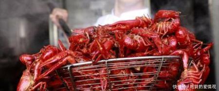 想不开的入侵物种，这一淡水虾王混入中国，下场估计比小龙虾都惨