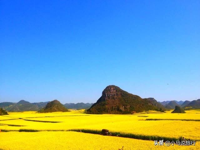 3月这4个适合赏花的旅行地，开启春的盛宴，在春暖花开之际走起