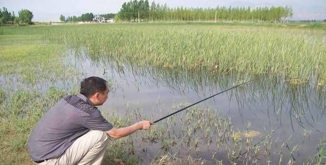  『优缺点』钓鱼用硬竿还是软竿各自优缺点的浅见