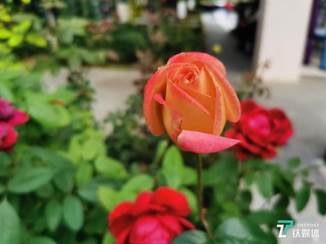 华为mate30是5g还是pro是5g