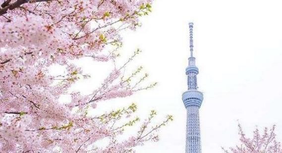  「中国」日本第一大城市，对比中国第一大城市！网友：差距太大