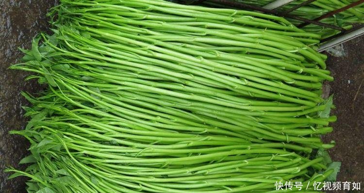 广西农村这种蔬菜，农民卖到美国比肉还贵，一年就赚三十多万