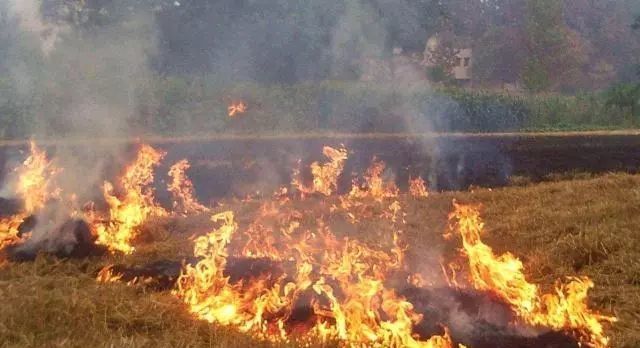  [农村]国务院发出“4大死令”：整死农村，75％农民坐牢，不听劝