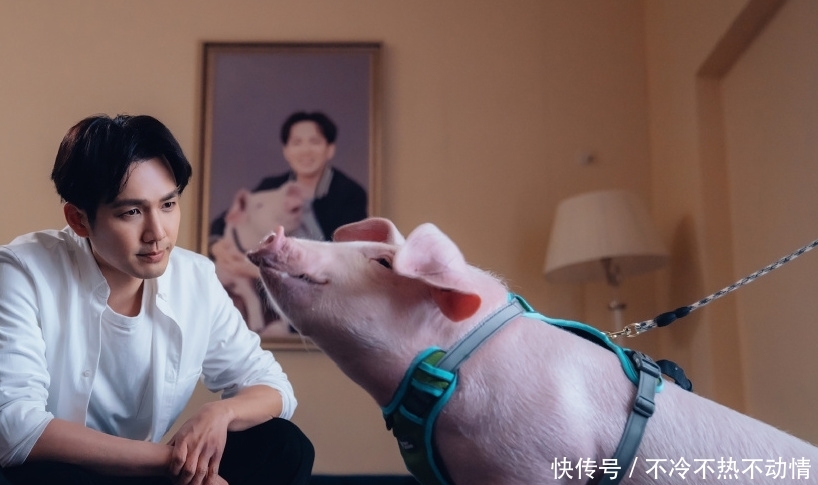 电影宠爱的票房现在是多少