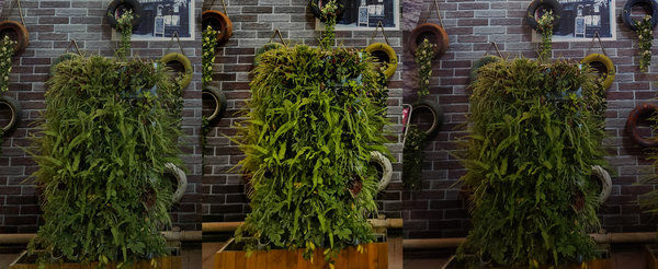 华为Mate 20 Pro上手体验,后置“浴霸三射”带来别样惊喜。