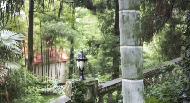 中国避暑胜地，浙江安徽各两处，安徽一处，这是八九月该去的地方