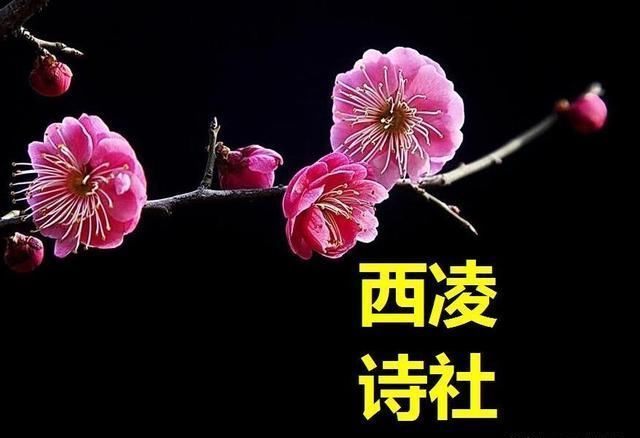 高铁列车长为何多是漂亮的年轻妹子？