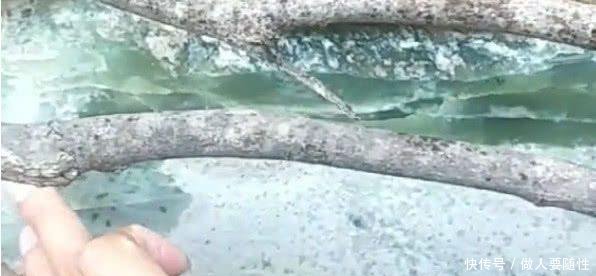 40厘米长的玉石被农民当做普通石头垒在墙中，农民意欲何为