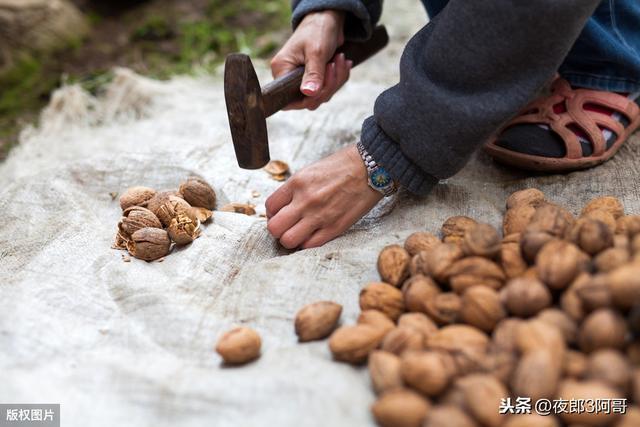 『核桃』谁说干核桃超过一年就坏?注意3个细节,储藏3年还是原来的味道