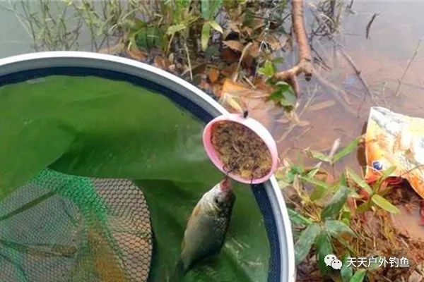  不缠@野钓奇招数：自制加强版盒饭钩，不缠子线、不挂底，野钓大鱼必备
