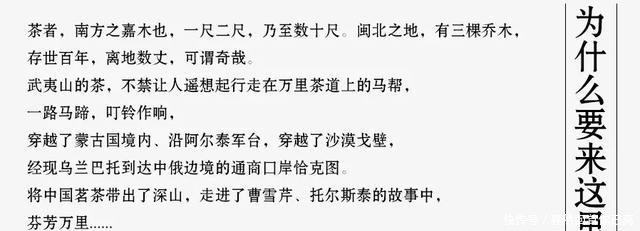 一座有着武夷山的城市，她有着怎样的美？