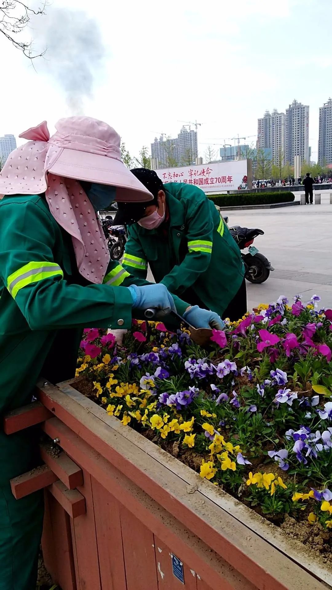  【簇拥】菏泽：鲜花簇拥牡丹城