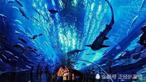 世界第一的水族馆住着鲸鲨和鲸鱼，安检程序无比严格