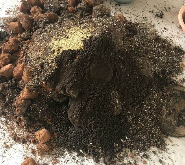 团粒结构■养花换下来的土可以循环使用吗换下来的土怎样进行土壤修复