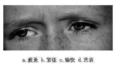看眼神,猜情绪,测情商,给自己的情商定个级,