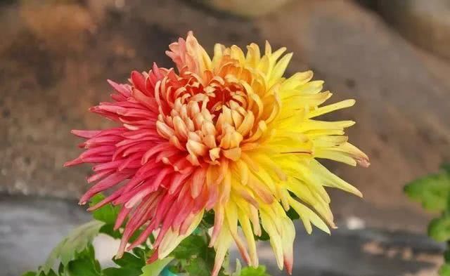  「重启」不能重启的2020，接下来的日子在天津要这样过！