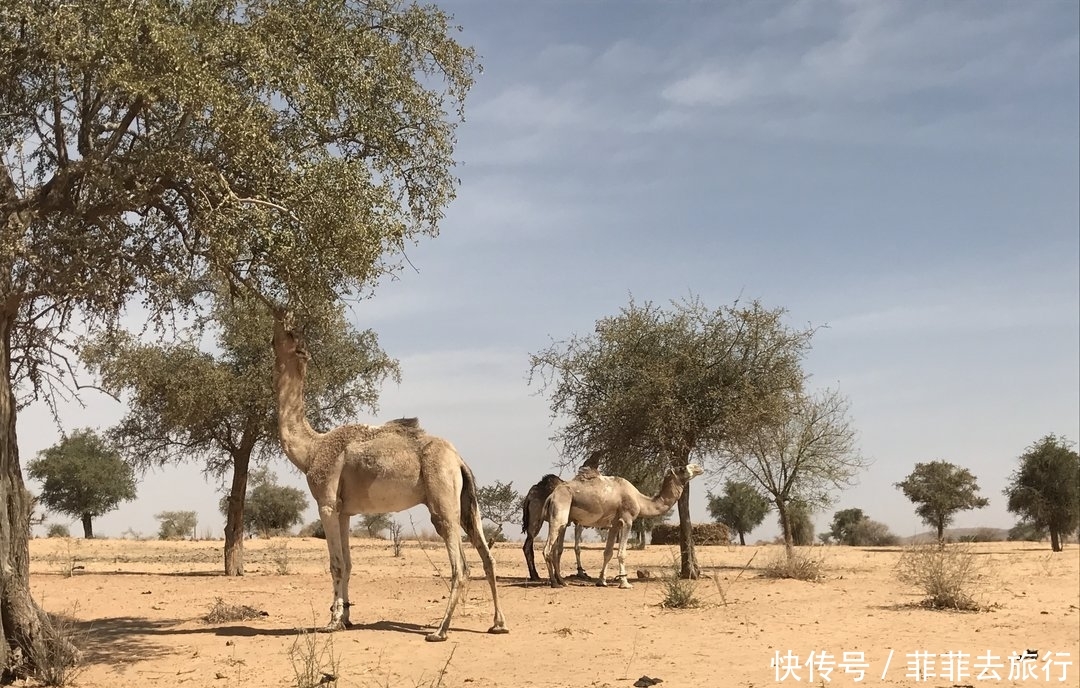韩国成首个“0”出生率国，最高国却在非洲，三毛笔下最文艺