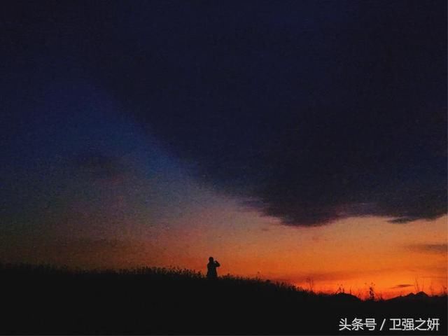 【空谷幽兰】烟雨花香又一春