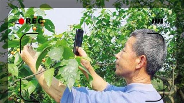  「城市」农村人年龄大了，出去打工没人要怎么办呢？几点建议供