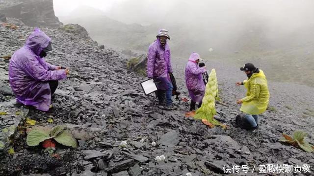 这部纪录片央视发力了,每一帧都可以当壁纸,BBC也无法超越