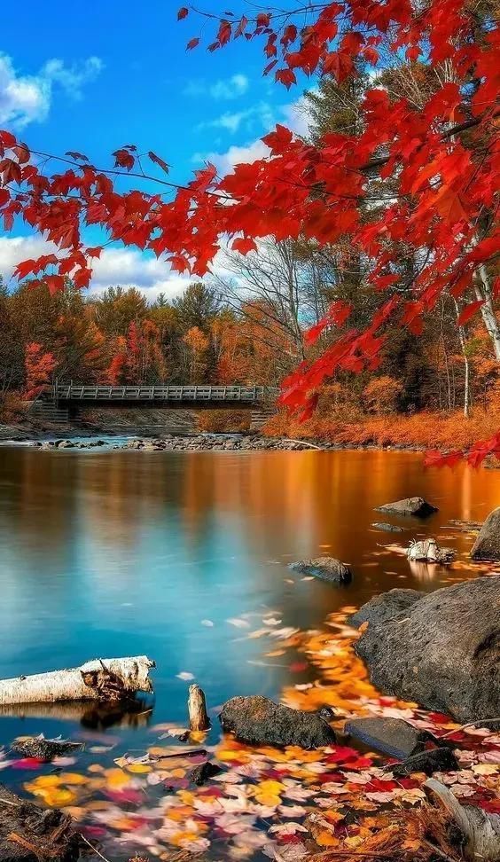 美景!美景!美景!美景!美景!美景!美景!美景!