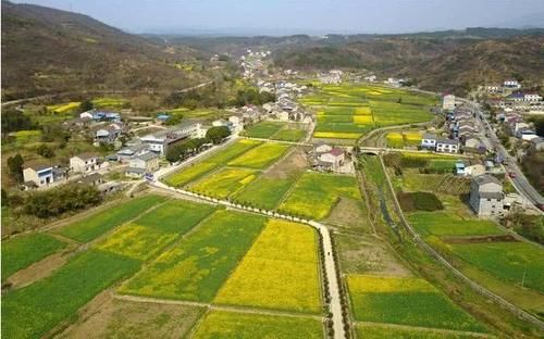  「城里人」农村这4大“怪现象”，只有村里人明白？城里人可能不