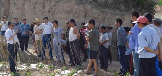  #一批#不久将来，农村“下一批”富人将出现，三类人的概率最高