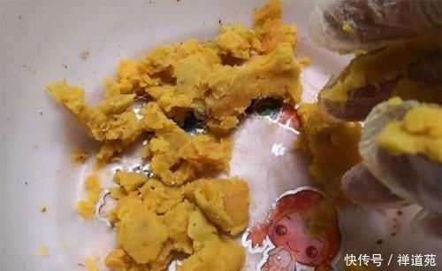  『草鱼』专供鲤鱼和草鱼的自制饵料，让你钓50斤的鱼获和玩一样