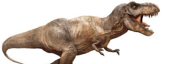 十大肉食恐龙排行榜!食肉恐龙的种类有哪些?