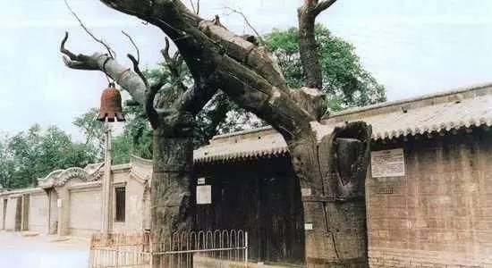  #第一个#100个中国最难读的地名，第一个你就读错了