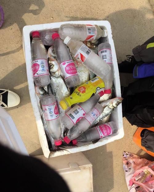  「泡沫箱」万峰湖真的是钓鱼人的天堂吗？